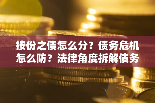 武汉按份之债怎么分？债务危机怎么防？法律角度拆解债务分配与风险自保指南