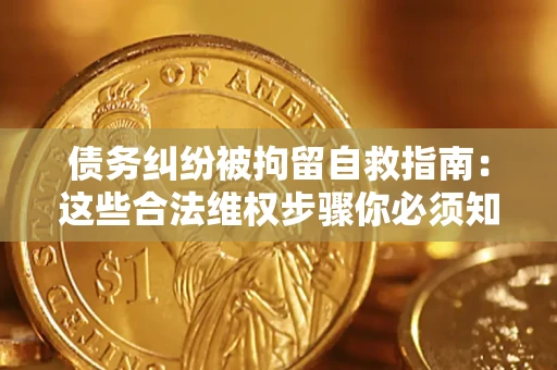 武汉债务纠纷被拘留自救指南：这些合法维权步骤你必须知道！