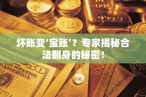 武汉坏账变‘宝账’？专家揭秘合法翻身的秘密！