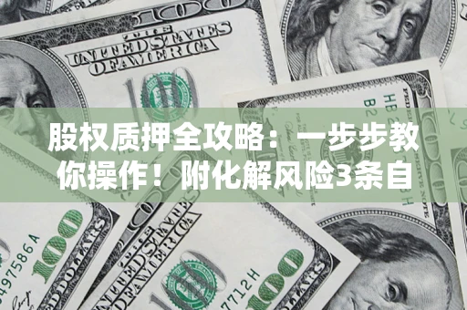 武汉股权质押全攻略：一步步教你操作！附化解风险3条自救法则