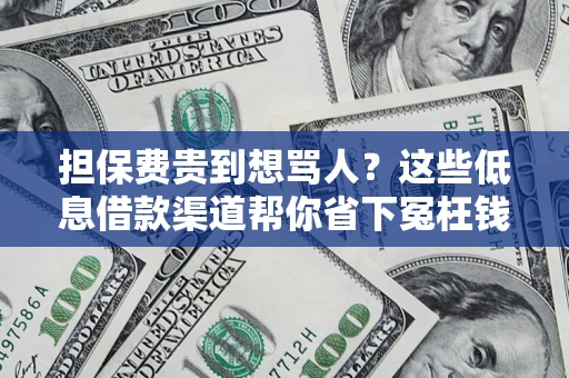武汉担保费贵到想骂人？这些低息借款渠道帮你省下冤枉钱