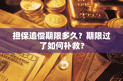 武汉担保追偿期限多久？期限过了如何补救？