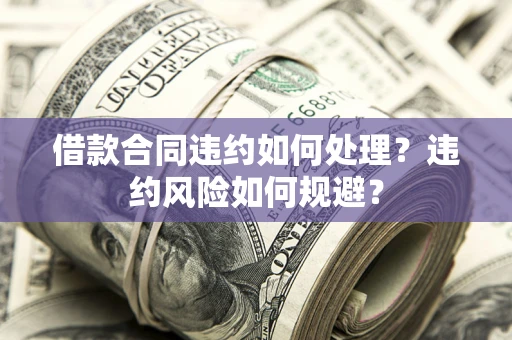 武汉借款合同违约如何处理？违约风险如何规避？