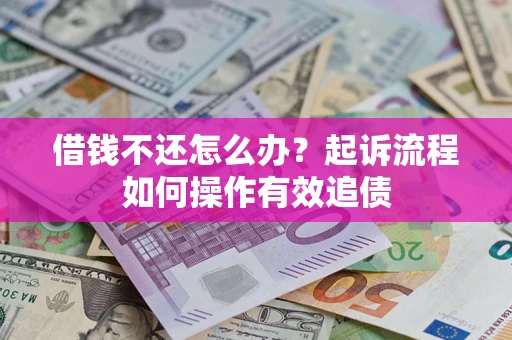 武汉借钱不还怎么办？起诉流程如何操作有效追债