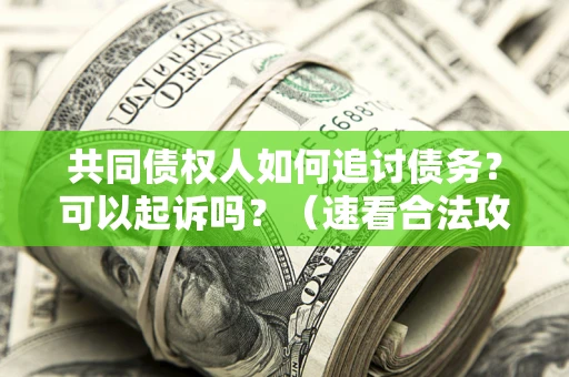 武汉共同债权人如何追讨债务？可以起诉吗？（速看合法攻略）