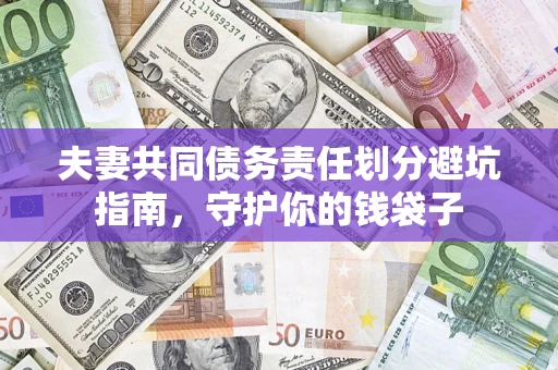 武汉夫妻共同债务责任划分避坑指南，守护你的钱袋子