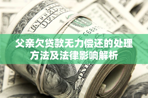 武汉父亲欠贷款无力偿还的处理方法及法律影响解析