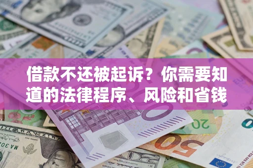 武汉借款不还被起诉？你需要知道的法律程序、风险和省钱技巧
