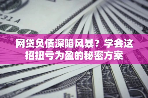 武汉网贷负债深陷风暴？学会这招扭亏为盈的秘密方案